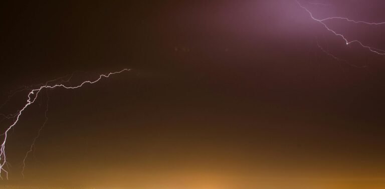 apex surge 911170541 growth