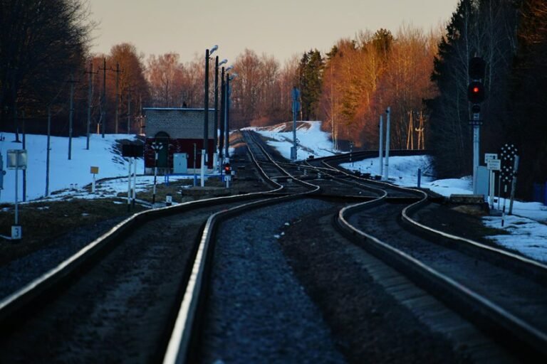 clearline dock intelligent service track