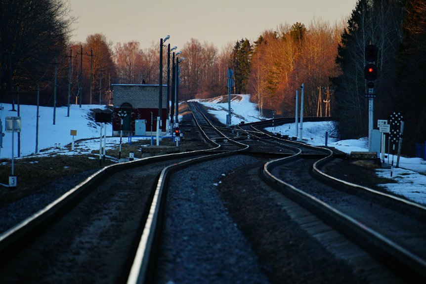 clearline dock intelligent service track